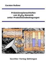 Präzisionsplanschleifen von Al2O3-Keramik unter Produktionsbedingungen