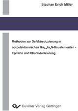 Methoden zur Defektreduzierung in optoelektronischen Ga1-xInXN-Bauelementen - Epitaxie und Charakterisierung