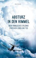 Absturz in den Himmel