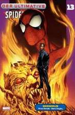 Der Ultimative Spider-Man 13