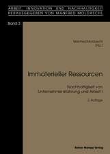 Immaterielle Ressourcen