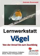 Lernwerkstatt Vögel Von der Amsel bis zum Zaunkönig