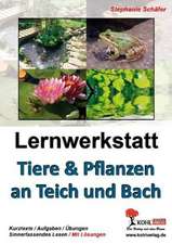 Tiere & Pflanzen an Teich und Bach