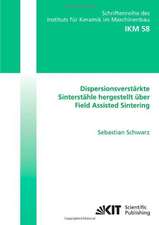 Dispersionsverstärkte Sinterstähle hergestellt über Field Assisted Sintering