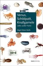 Venus, Schildpatt, Knallgarnele