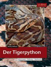 Tigerpython