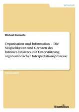 Organisation und Information ¿ Die Möglichkeiten und Grenzen des Intranet-Einsatzes zur Unterstützung organisatorischer Interpretationsprozesse