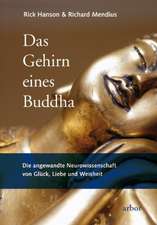 Das Gehirn eines Buddha