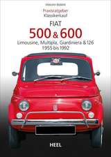 Praxisratgeber Klassikerkauf: Fiat 500 / 600 1955-1992