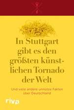 In Stuttgart gibt es den größten künstlichen Tornado der Welt