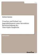 Ursachen und Verlauf von Jugenddelinquenz unter besonderer Berücksichtigung des Täter-Opfer-Ausgleichs