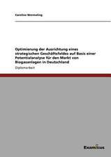 Optimierung der Ausrichtung eines strategischen Geschäftsfeldes auf Basis einer Potentialanalyse für den Markt von Biogasanlagen in Deutschland