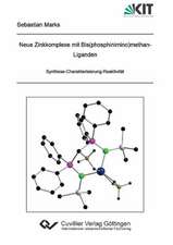 Neue Zinkkomplexe mit Bis(phosphinimino)methan-Liganden. Synthese-Charakterisierung-Reaktivität