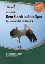 Dem Storch auf der Spur