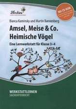 Amsel, Meise & Co: Heimische Vögel