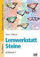 Steine. Lernwerkstatt