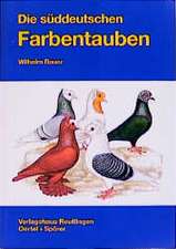 Die Süddeutschen Farbentauben