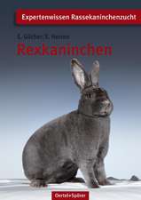 Rexkaninchen