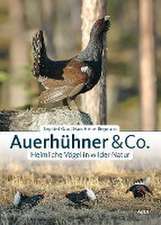 Auerhühner & Co.