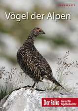 Vögel der Alpen - Falke-Sonderheft 2022