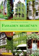 Fassaden begrünen