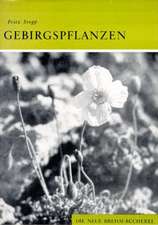 Gebirgspflanzen - insbesondere Alpenpflanzen