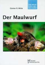 Der Maulwurf