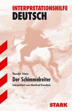 Der Schimmelreiter. Interpretationshilfe Deutsch