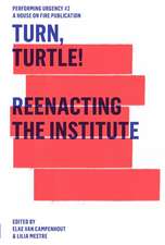 Turn, Turtle! Reenacting The Institute