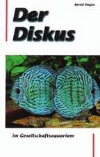 Der Diskus im Gesellschaftsaquarium