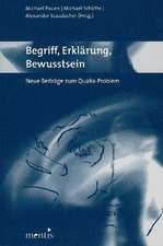 Begriff, Erklärung, Bewusstsein