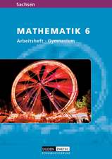 Mathematik 6 / Arbeitsheft Sachsen / Gymnasium