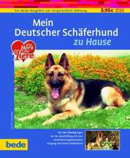 Mein Deutscher Schäferhund zu Hause