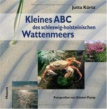 Kleines ABC des schleswig-holsteinischen Wattenmeer