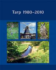 Tarp 1980-2010