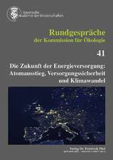 Die Zukunft der Energieversorgung: