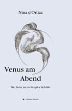 Venus am Abend