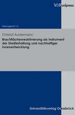 Brachflachenreaktivierung ALS Instrument Der Stadterhaltung Und Nachhaltiger Innenentwicklung: Veranderte Sicht Auf Risiken?