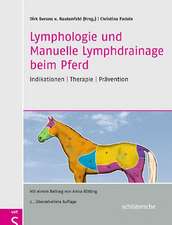 Lymphologie und Manuelle Lymphdrainage beim Pferd