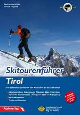 Skitourenführer Tirol