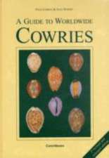 A Guide to Worldwide Cowries