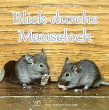 Blick durchs Mauseloch