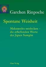 Garchen Rinpoche: Spontane Weisheit