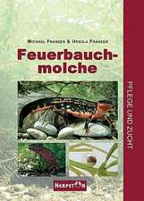 Feuerbauchmolche