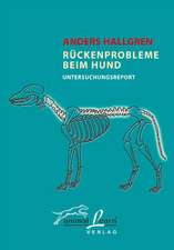 Rückenprobleme beim Hund