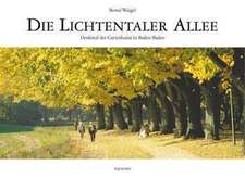 Die Lichtentaler Allee