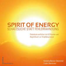 Spirit of Energy, Schatzsuche statt Fehlerfahndung