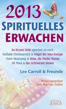 Spirituelles Erwachen 2013