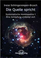 Die Quelle spricht - Systematische Homöopathie I