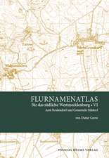 Flurnamenatlas für das südliche Mecklenburg VI